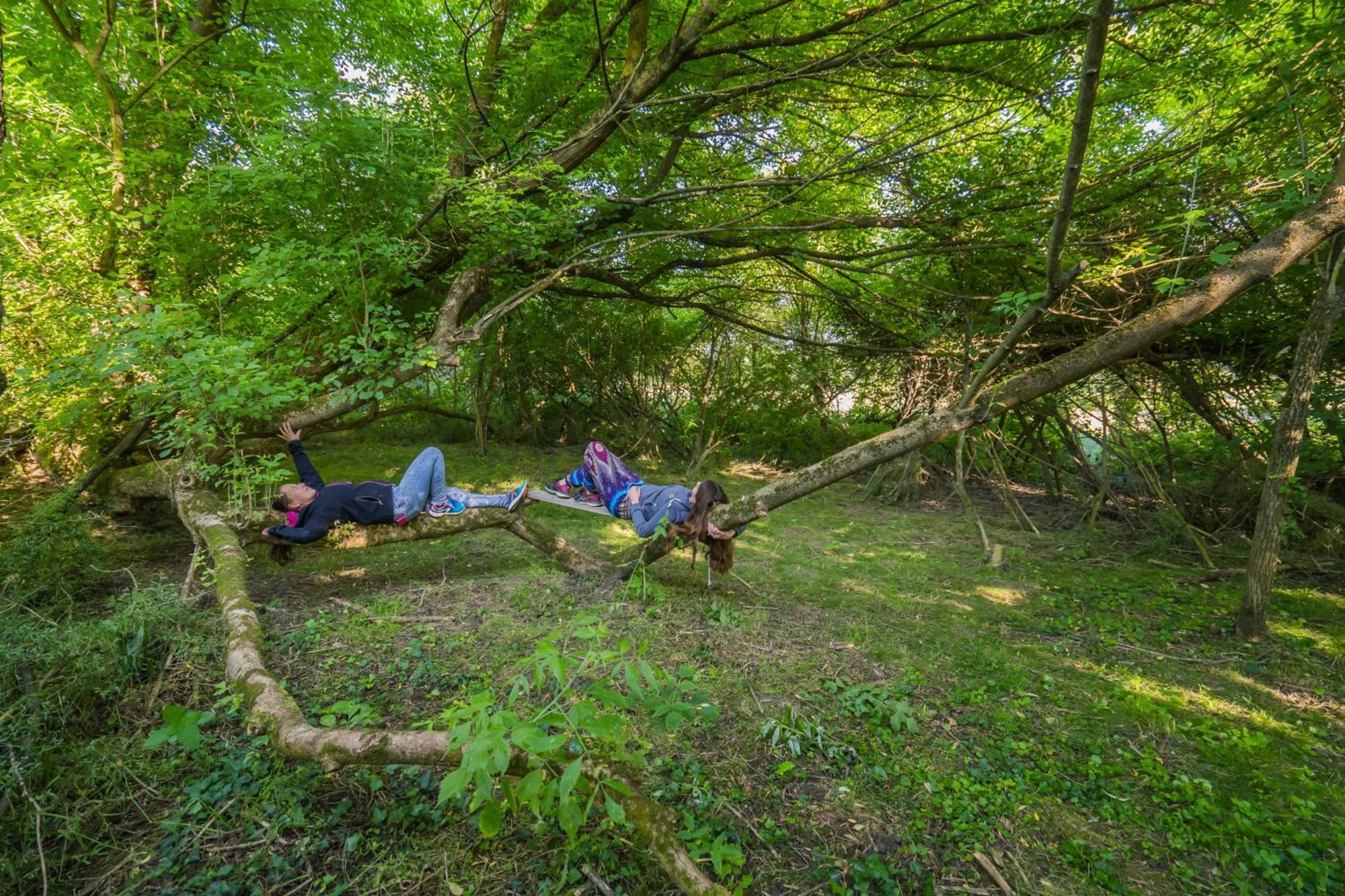 Szellos Ret Camping Balvanyos 외부 사진