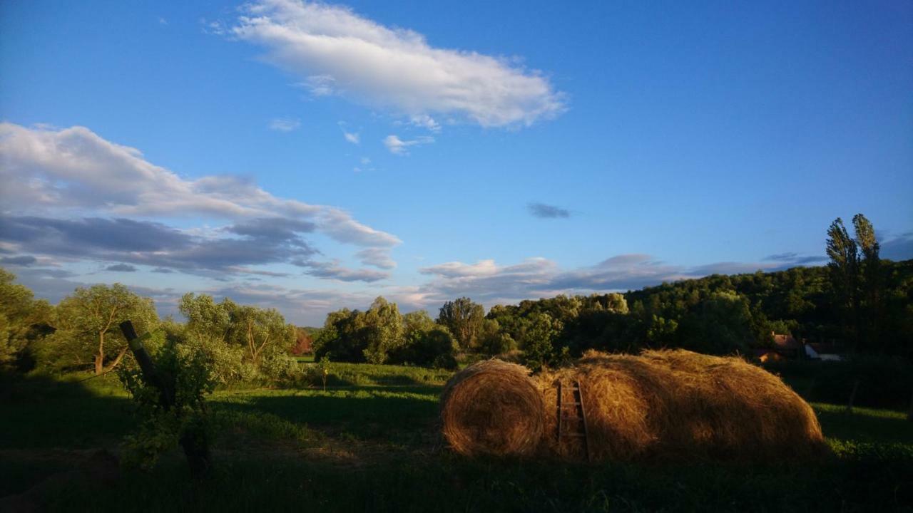 Szellos Ret Camping Balvanyos 외부 사진
